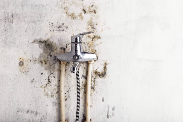 Certified Mold Removal in New Bedford, MA