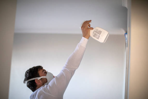 Best Certified Mold Removal  in New Bedford, MA