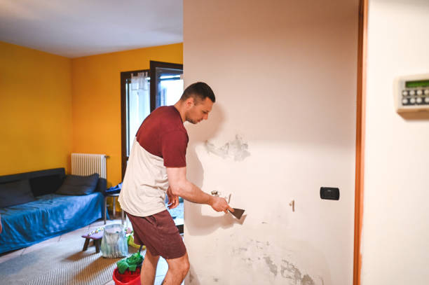 Reliable New Bedford, MA Mold Removal Solutions