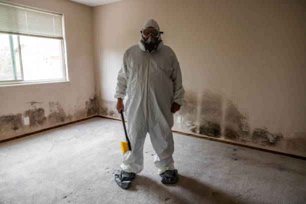Best Mold Testing  in New Bedford, MA